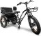 Forte Electric Bike